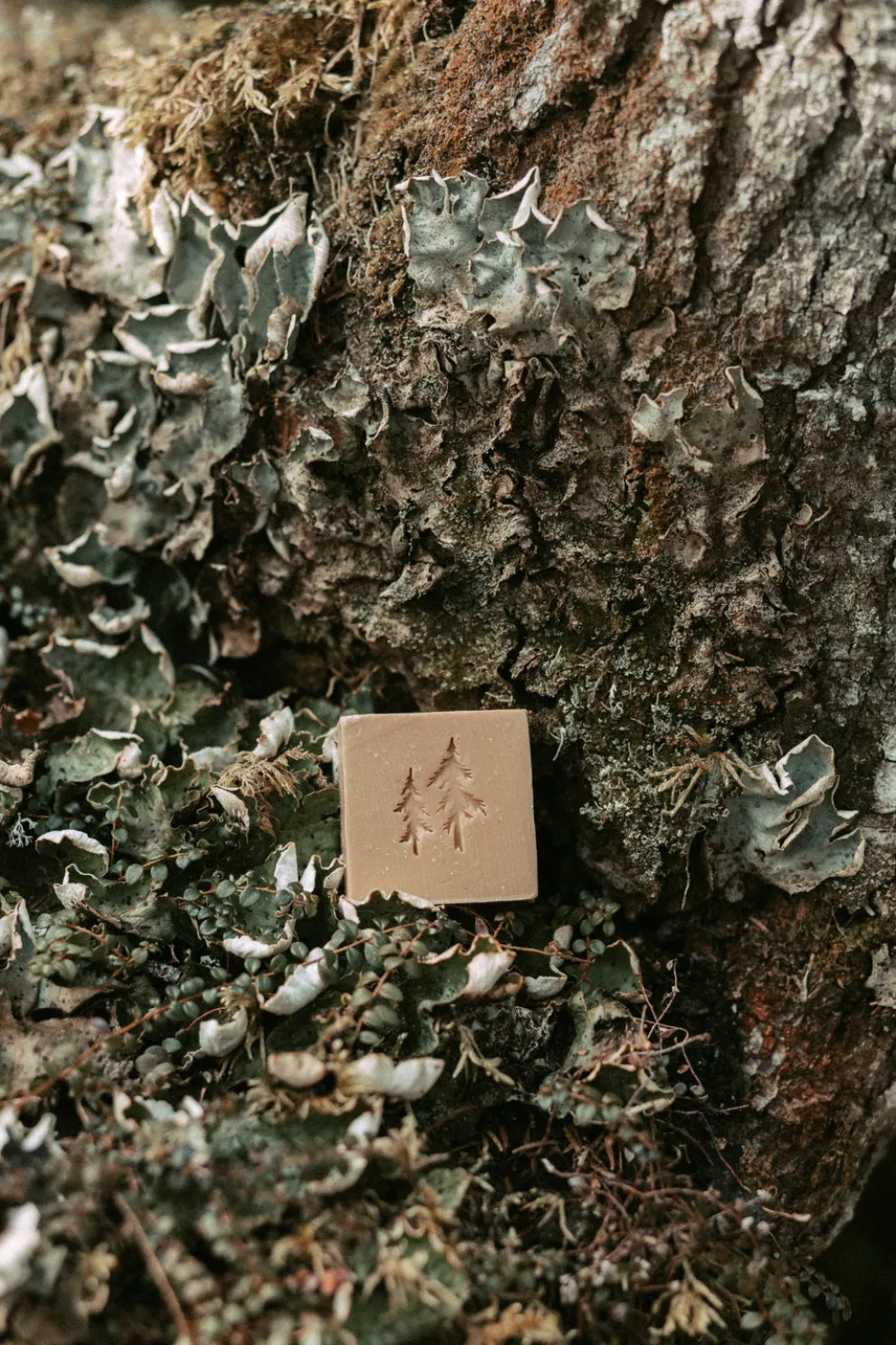 WEEDS Lemongrass Soap