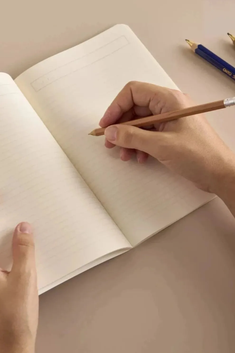 SEASON PAPER Notebook - Interlacing