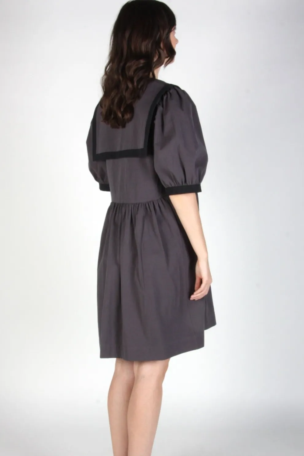 BIRDS OF NORTH AMERICA Fulvetta Dress - Iron