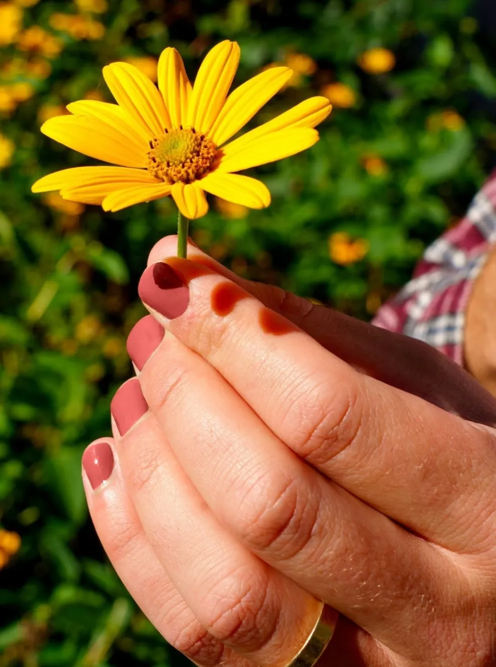 BKIND Nail Polish - Su'l Bord