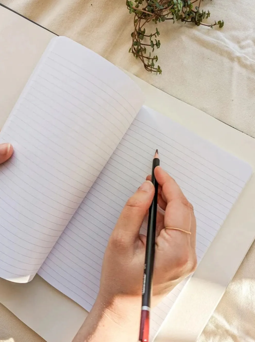 MIMI & AUGUST Note Book - Café Yo